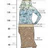 Illustrations